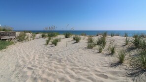 Beach nearby - Seashell Bungalow at Sanderlin Shores (Kitty Hawk)