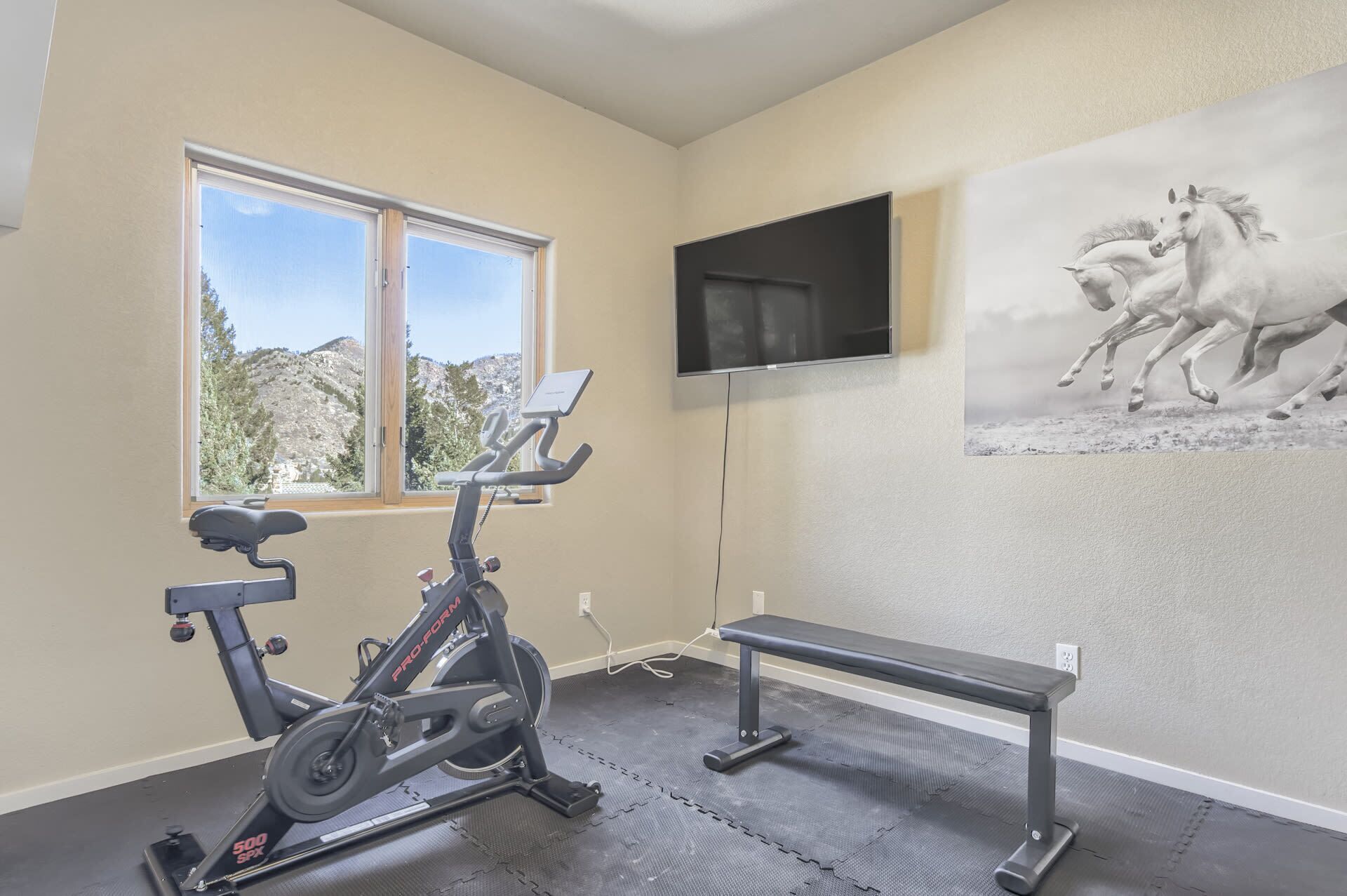 Un gimnasio con una bicicleta estática, una banca y un televisor en la pared.