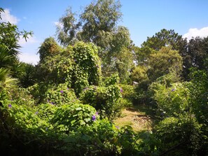 Property grounds - VILLA GRISEOR (Porto-Vecchio)