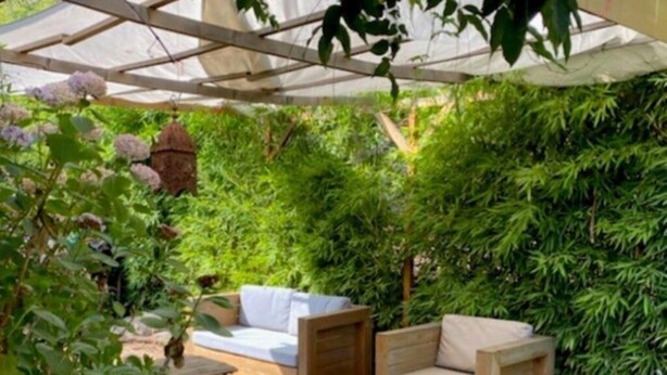 Eine Terrasse im Freien mit Holzmöbeln und üppigem Grün.