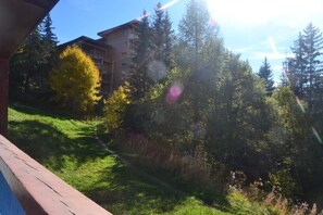 A building with a sloped roof, surrounded by dense trees and a grassy area. - 2nd floor, view resort, balcony, tv, 40m², Les Arcs (Les Arcs)