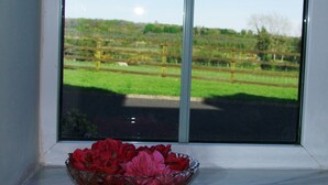 Een raam met vrij uitzicht op een landelijk gebied, een schaal rode bloemen op de vensterbank, en een metalen paal op de achtergrond.