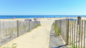 A sandy beach path leading to the ocean, bordered by wooden fences.