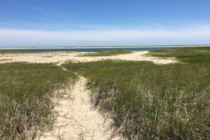 A sandy beach with a clear path through tall grass leading to the water.