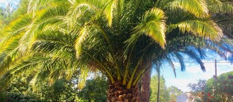 La Tanière, piscine et 300m de la mer