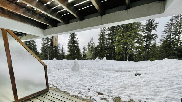 Une terrasse en bois ornée de sculptures de neige, avec une forêt en arrière-plan.
