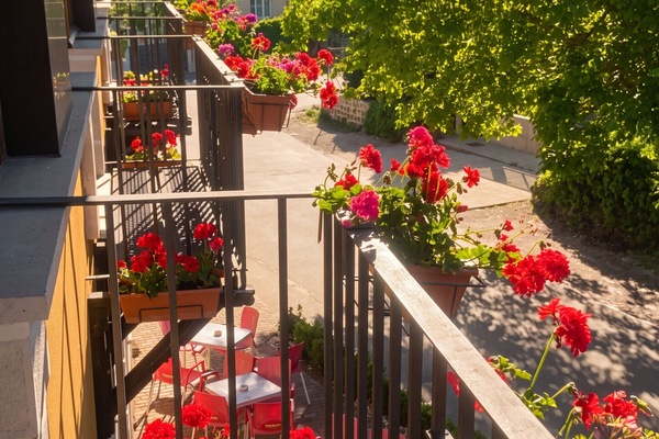 Jardin