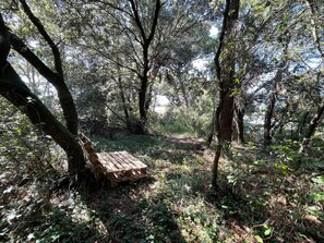 Parco della struttura