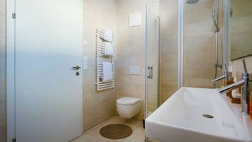 A modern bathroom with a glass shower enclosure, a white sink, and a toilet.
