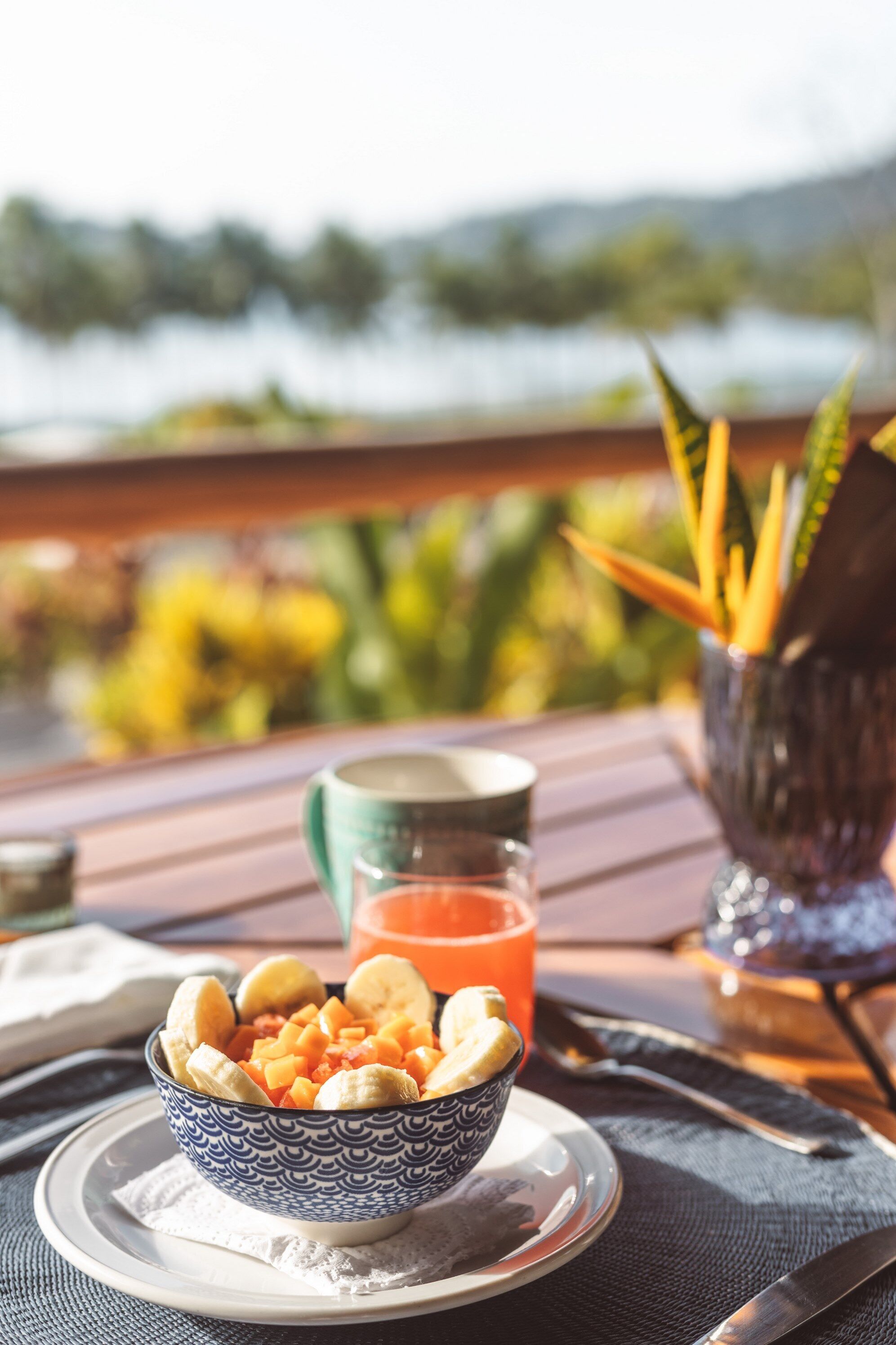 A bowl of fruit on a table with a scenic view in the background.