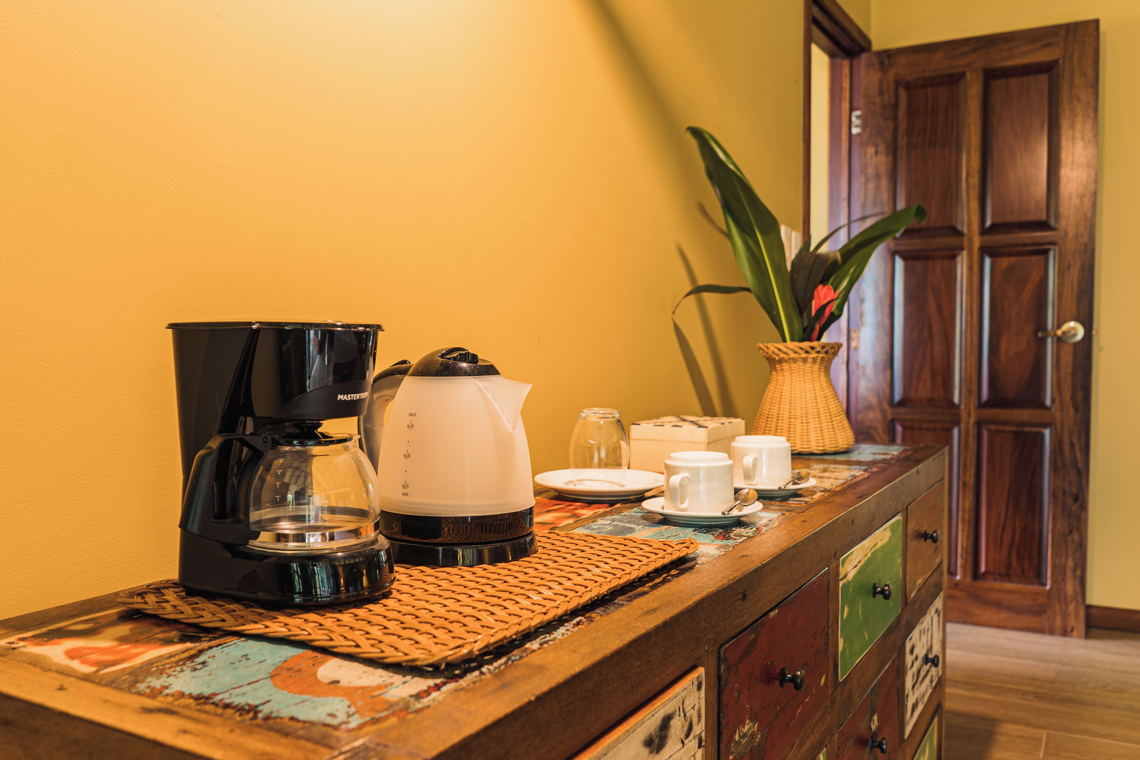 A kitchenette with a coffee maker, a kettle, and a vase with a plant.