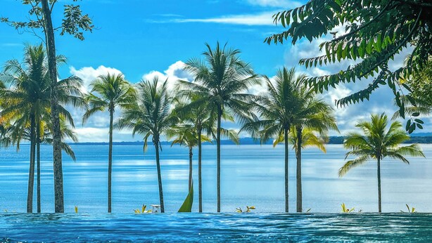 A pool with clear blue water, surrounded by tall palm trees and a view of the ocean.