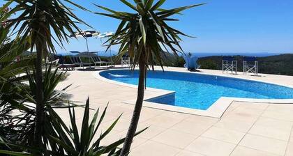 Villa Saha beautiful mansion surrounded by olive trees