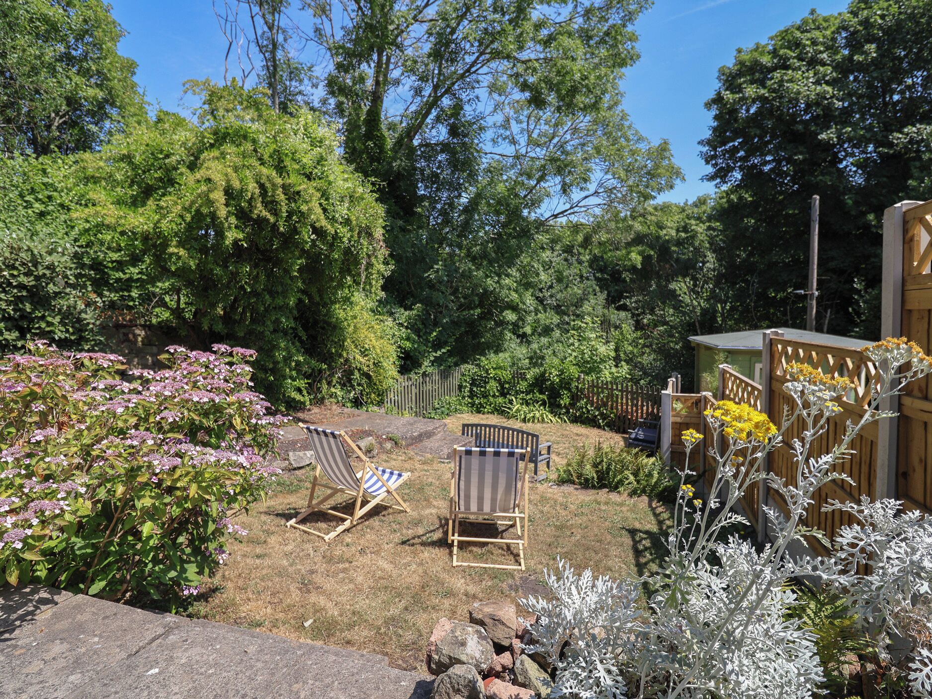A backyard with two striped lawn chairs, a wooden fence, and various plants.