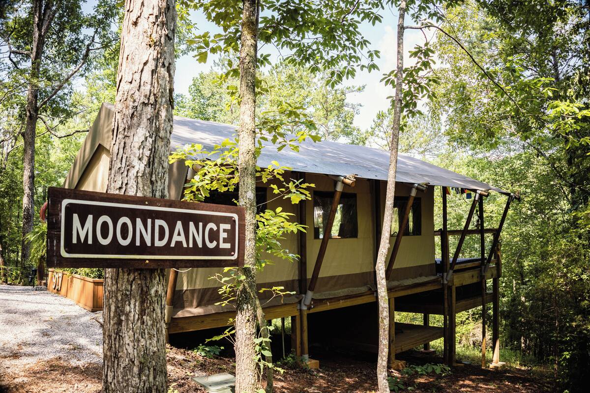 A wooden cabin named 'MOONDANCE' surrounded by trees.