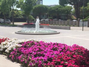 Property grounds - Holiday apartment Three-room apartment with swimming pool and garden overlooking the pedestrian street (Porto Santa Margherita)