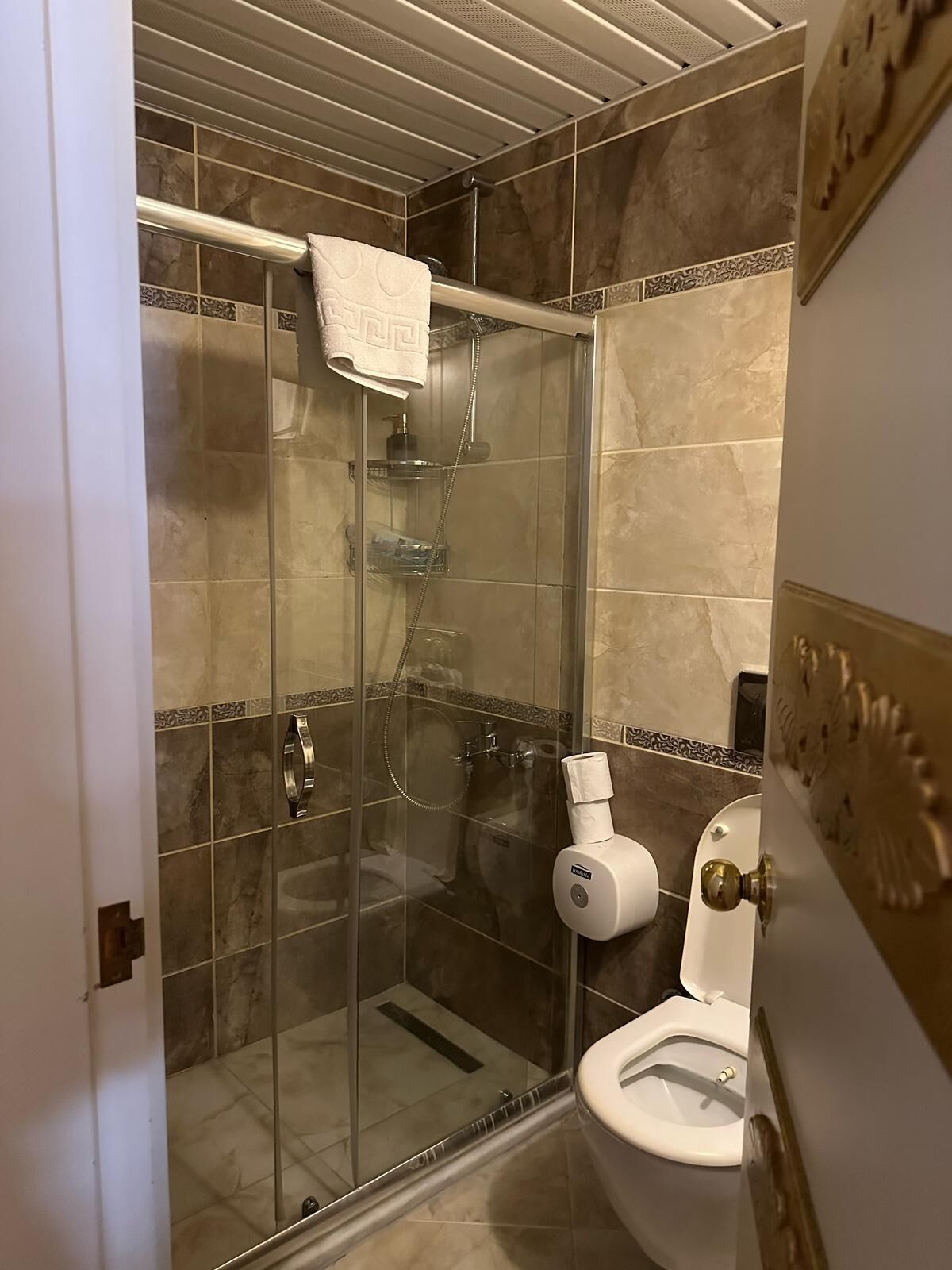 A glass-enclosed shower with a towel rack, a toilet, and a wall-mounted paper dispenser.