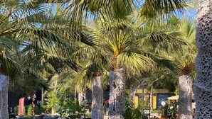 An outdoor seating area with wicker sofas, glass-top tables, and palm trees. - Barby Butik Otel (Kemer)
