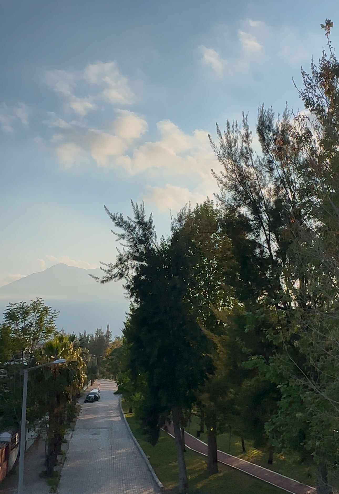 A paved road flanked by trees and a mountain in the distance.