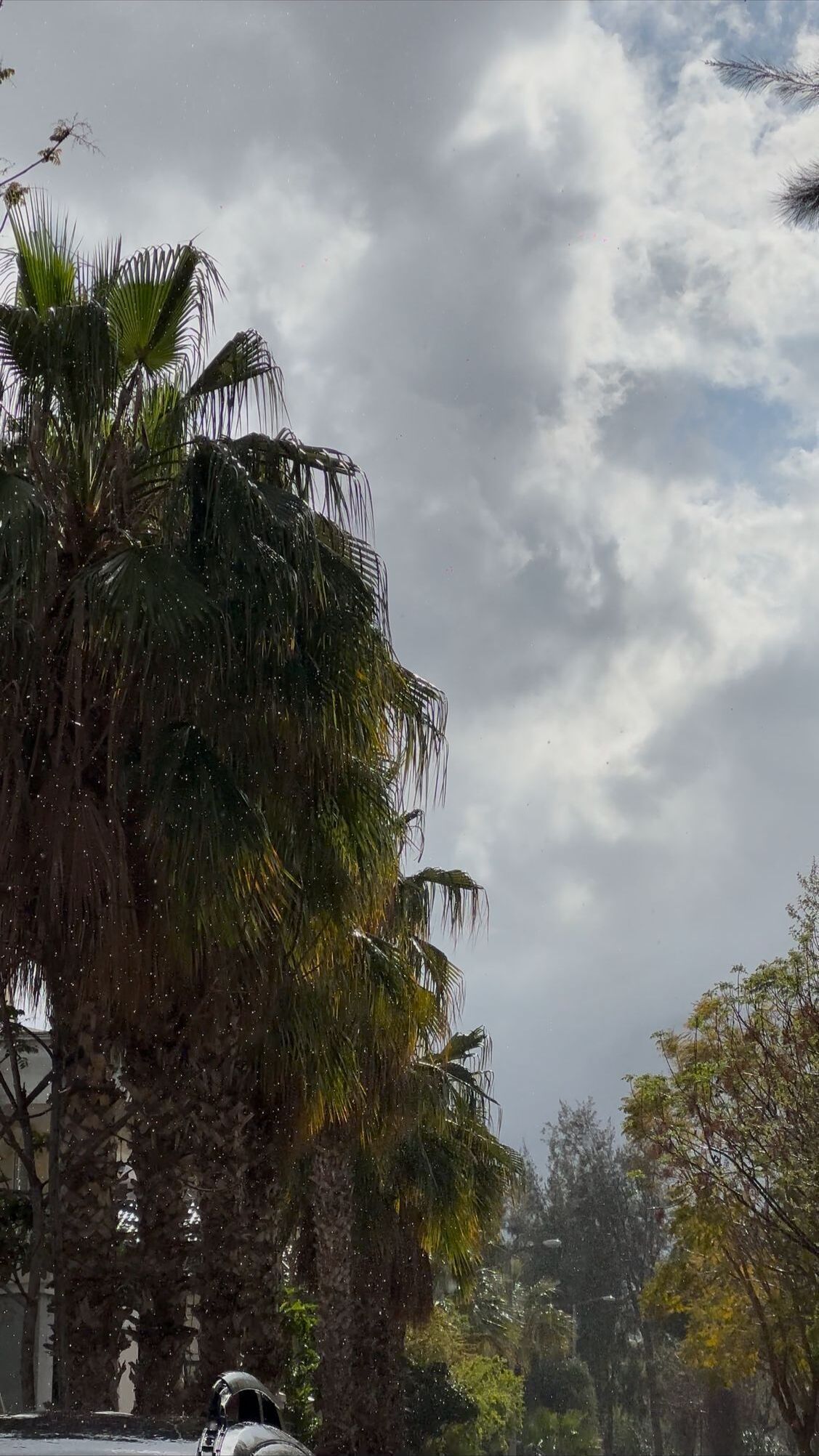 Photo - Barby Butik Otel