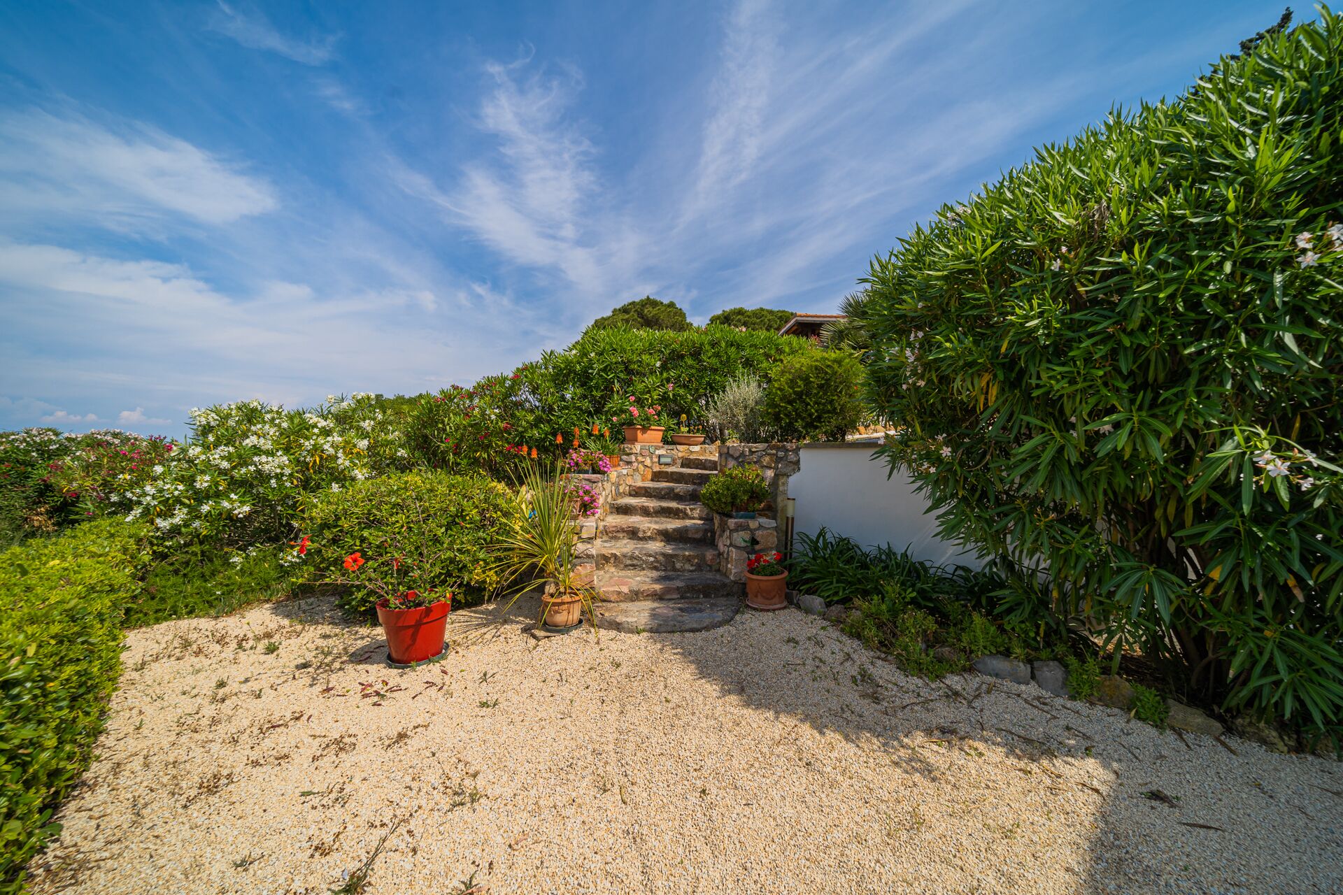 Áreas de la propiedad