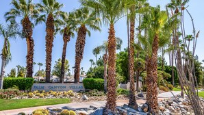 En skylt med texten ”Palm Canyon Villas”, med palmer och kaktusar i förgrunden.