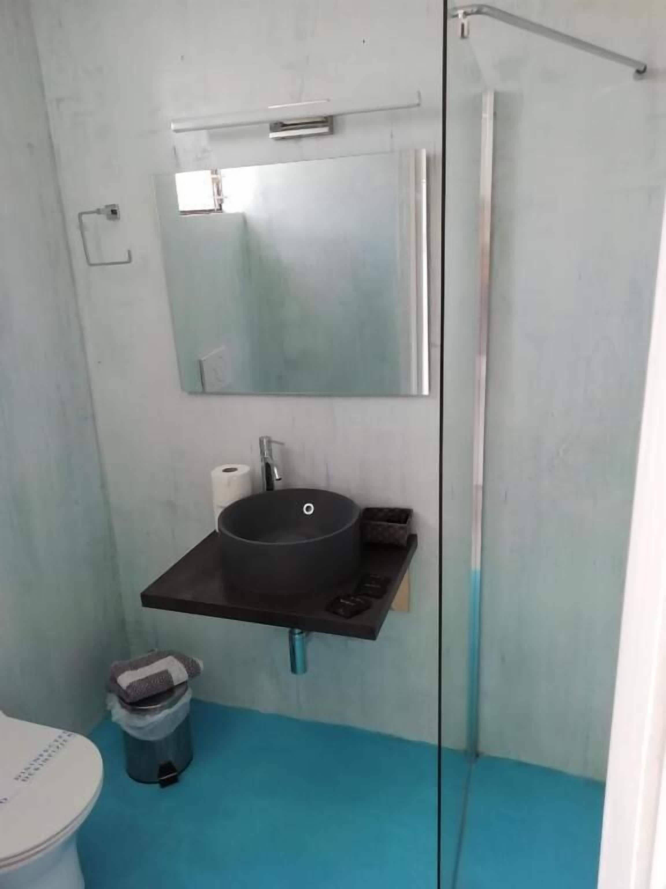 Un baño con cabina de ducha de vidrio, un lavabo negro con un espejo encima y un inodoro con un cubo de basura a su lado.