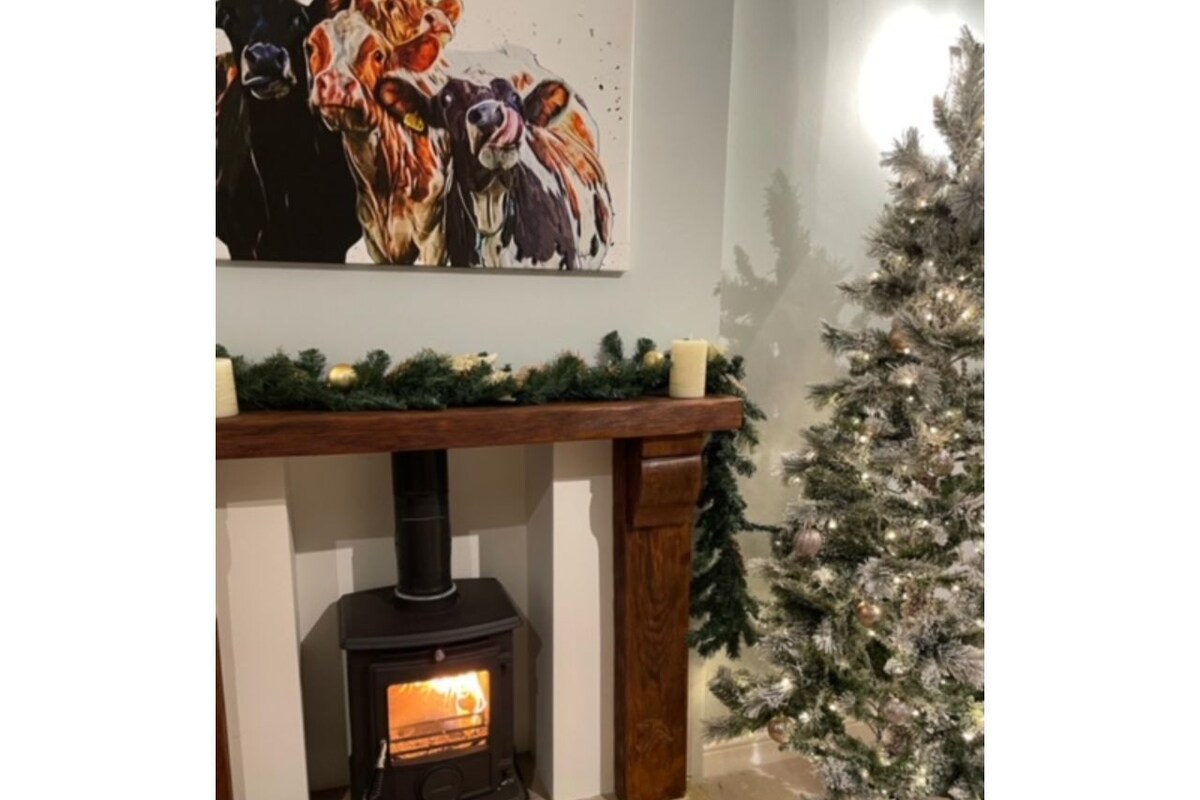 Una chimenea con estufa de leña, un árbol de Navidad y un cuadro en la pared.