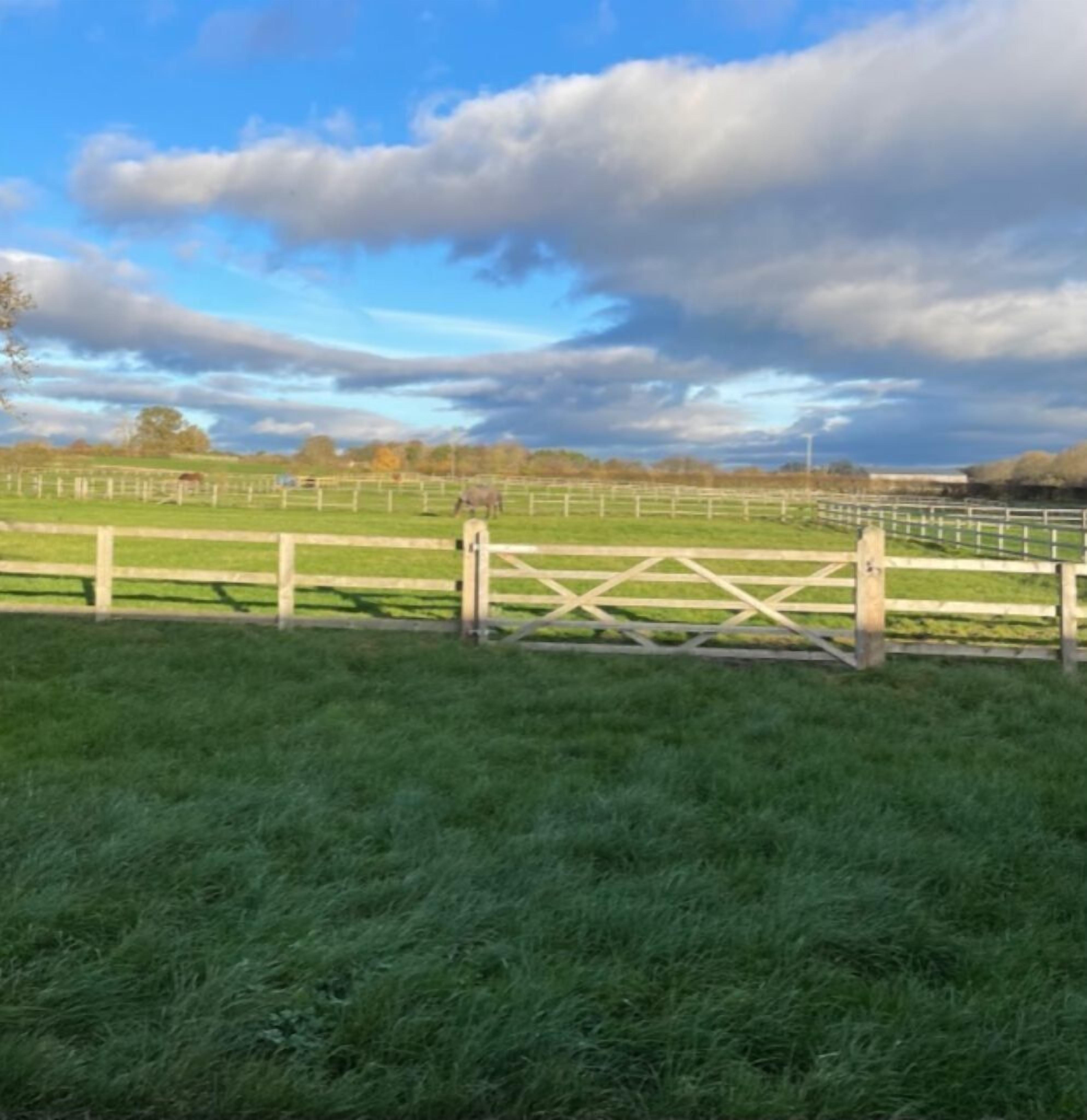 A rural landscape with a wooden gate leading to a fenced area.