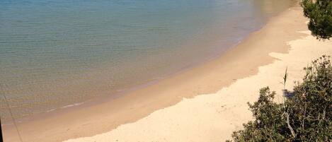 Departamento | Playa