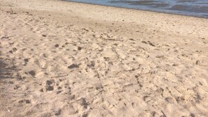 En sandstrand med bløde bølger og en klar himmel.