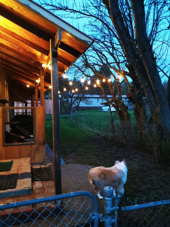 A rustic wooden building with a porch, string lights, and a dog standing by a metal gate.