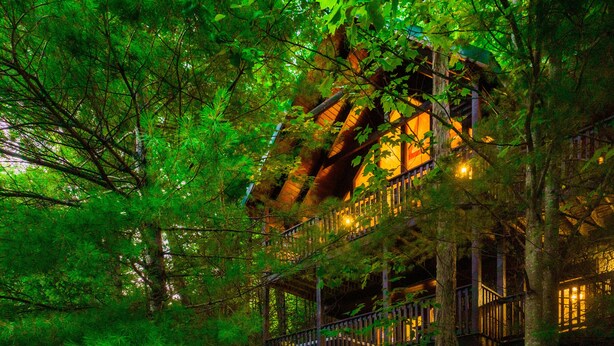 Une cabane perchée dans un arbre, dotée d’une terrasse en bois et d’une balustrade, entourée d’un feuillage verdoyant et luxuriant.