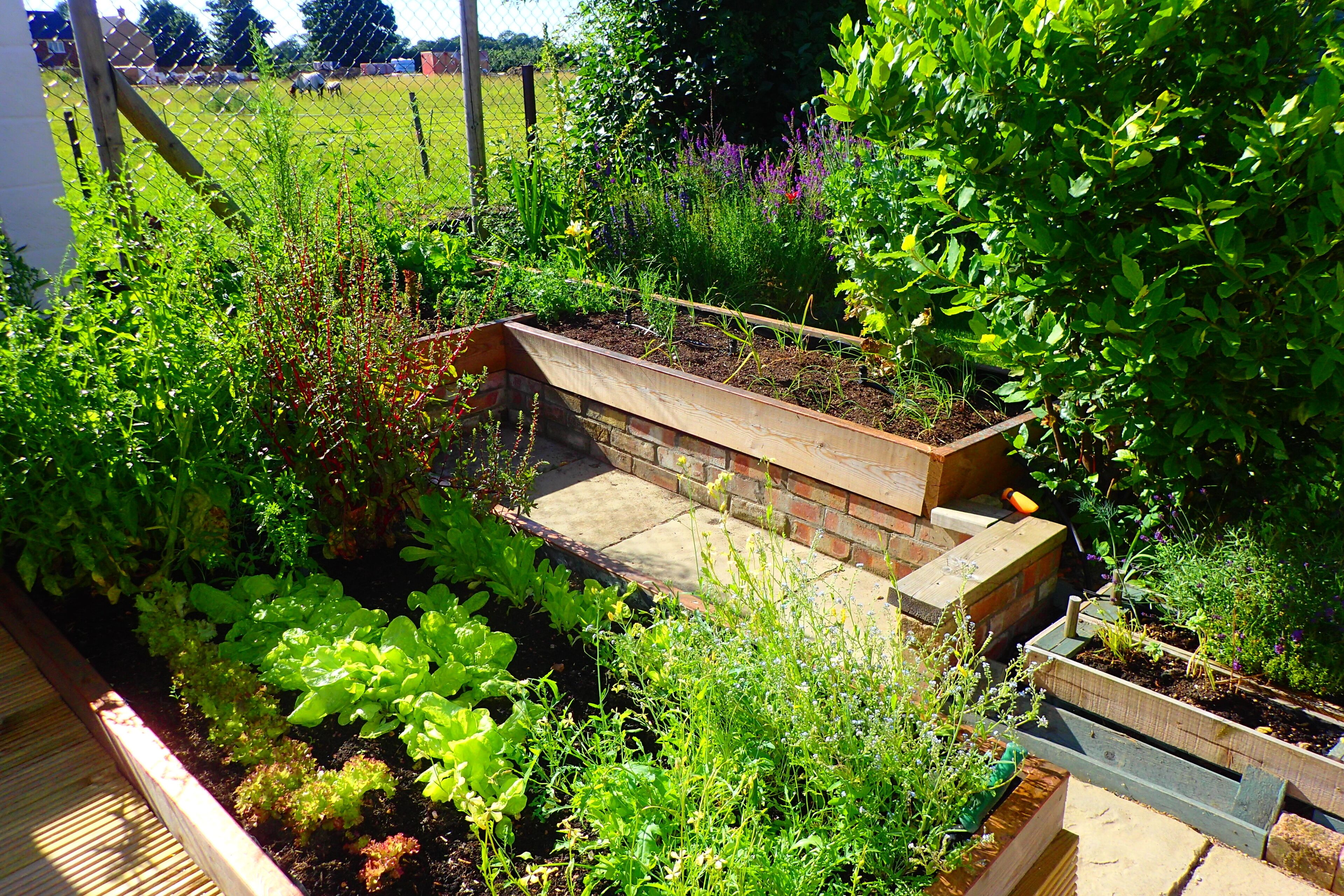 Un jardin avec des plates-bandes surélevées et un chemin en briques.