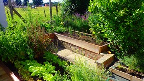 A garden with raised beds and a brick pathway.