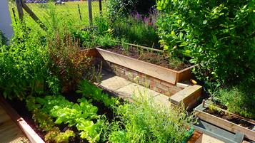 Un jardin avec des plates-bandes surélevées et un chemin en briques.