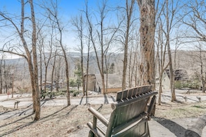 A bench in a park with bare trees and a distant view of houses.