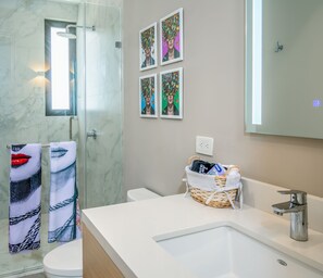 Shower, hair dryer, towels, soap