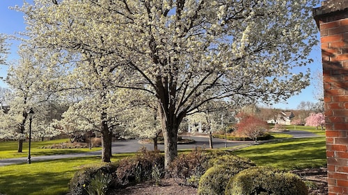 Carriage House on Country Estate - minutes from 6 wedding venues