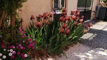 Details aan de buitenkant