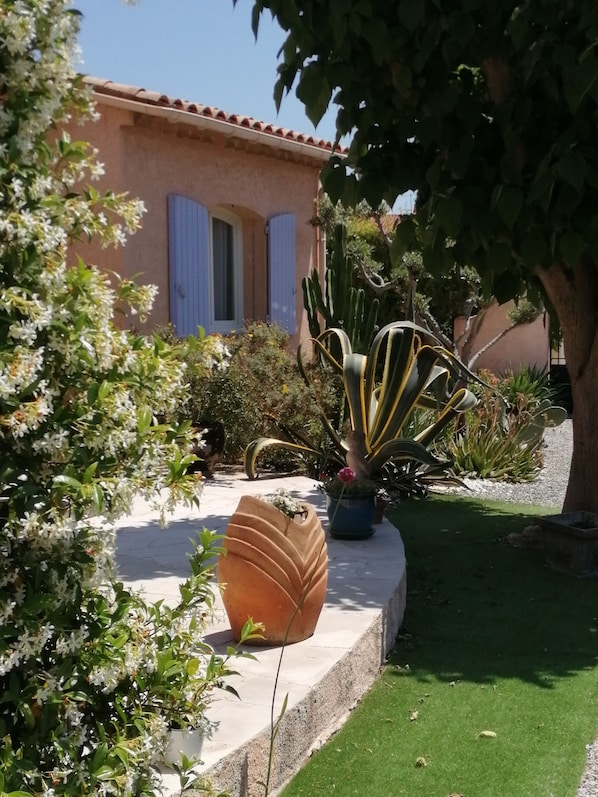 Un jardin où l’on trouve une grande variété de plantes, un grand pot et un bâtiment aux volets bleus.