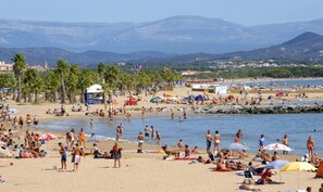 A crowded beach with people sunbathing and swimming, palm trees, and mountains in the background. - 2-room, garden-level, small, charming house with a 3-star rating (Fréjus)