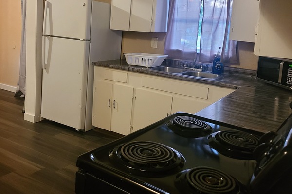 Blender, coffee grinder