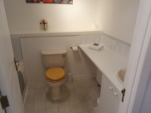 Ducha y bañera combinadas, secador de pelo y toallas