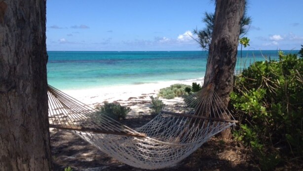 A hammock between trees overlooking a beach with clear turquoise water. - OCEAN FRONT Conch Shell-Green Turtle Cay with a dock- 15% SUMMER DISCOUNT! (Green Turtle Cay)