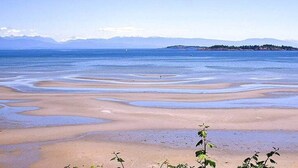 Una spiaggia con acque limpide e un'isola in lontananza.