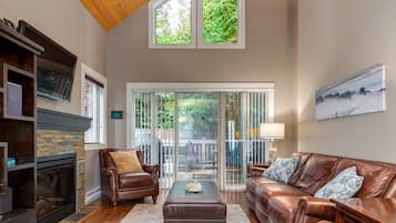 Smart TV, fireplace, books