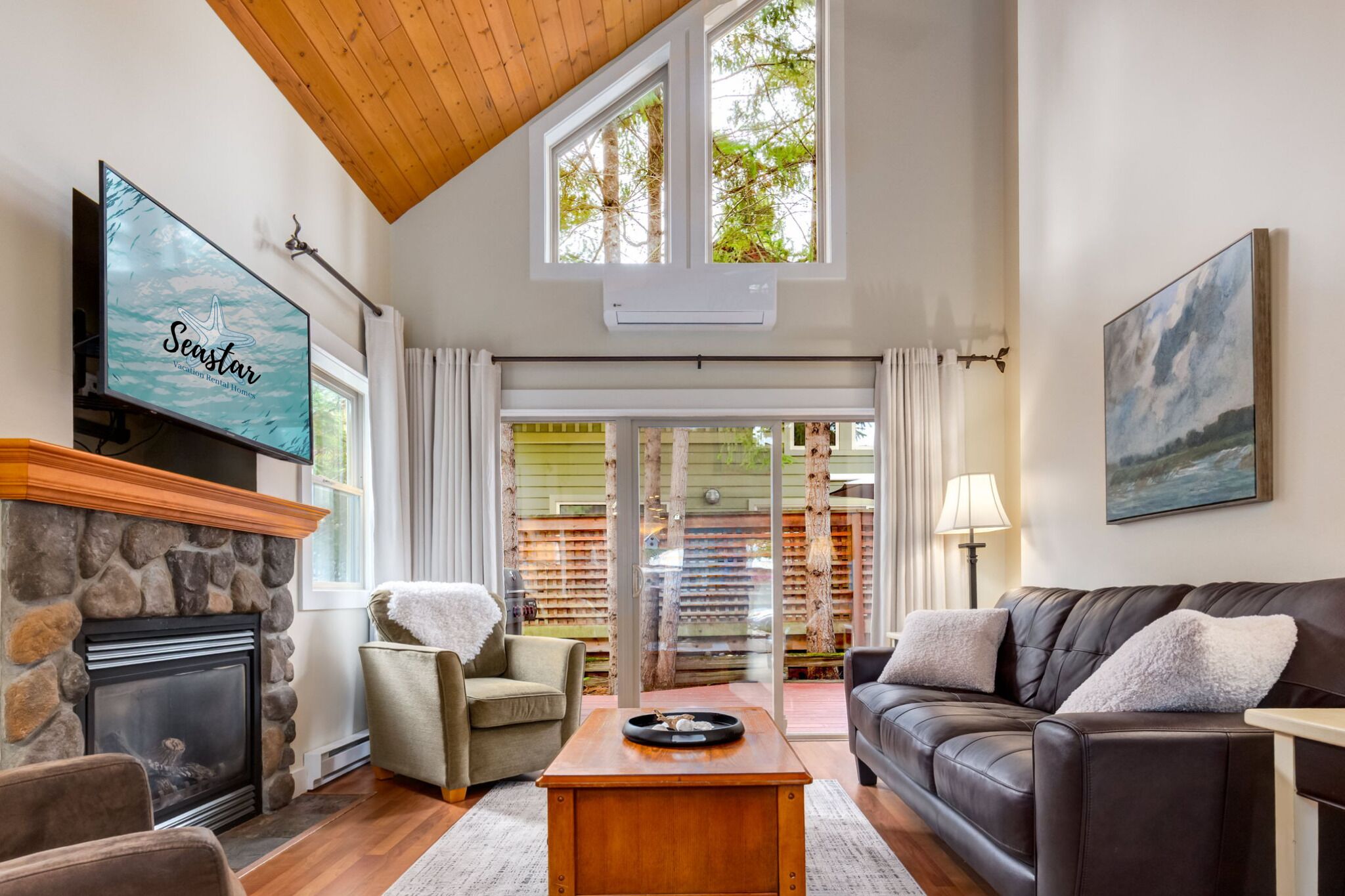 Smart TV, fireplace, books