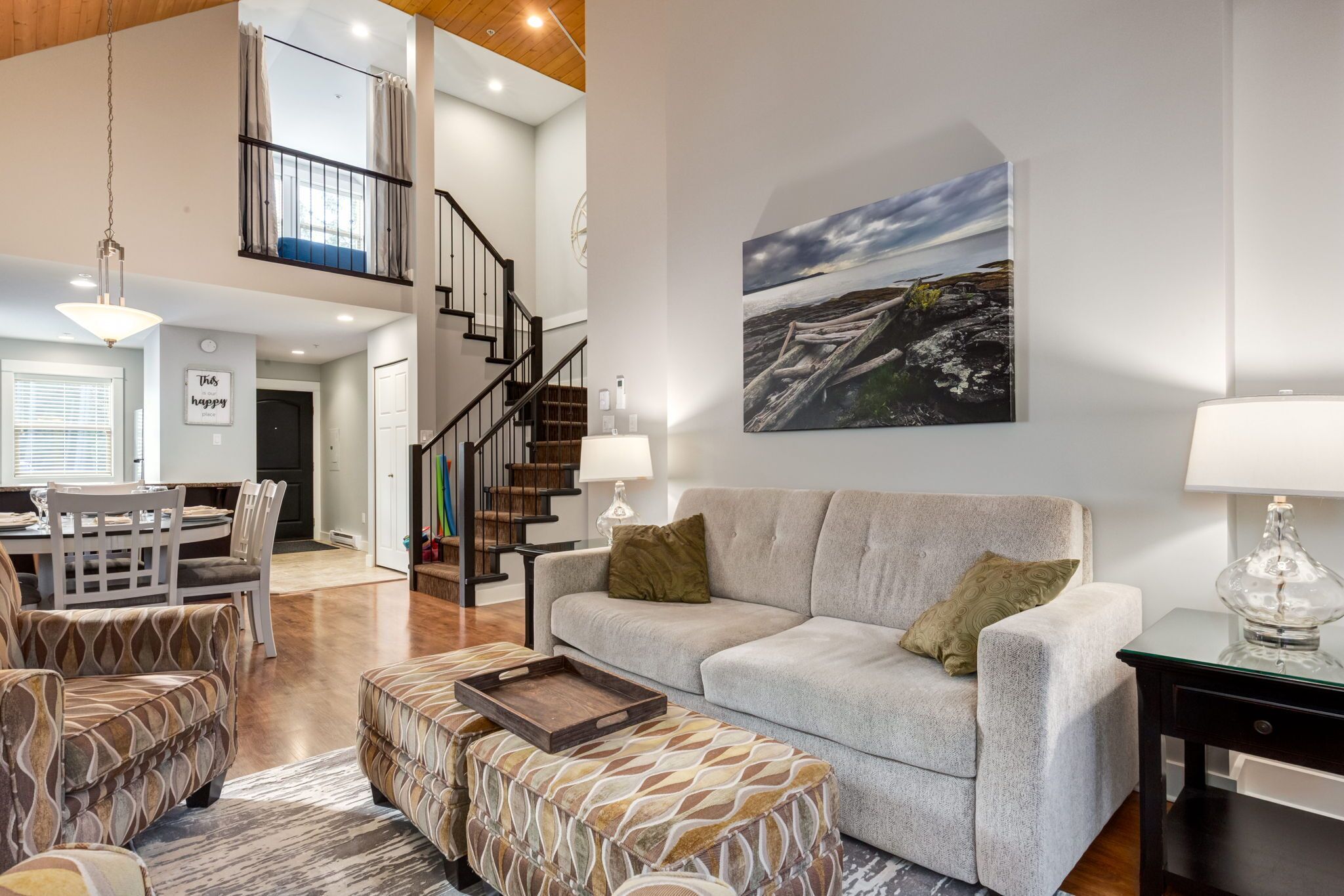 TV connectée, cheminée, lecteur de DVD