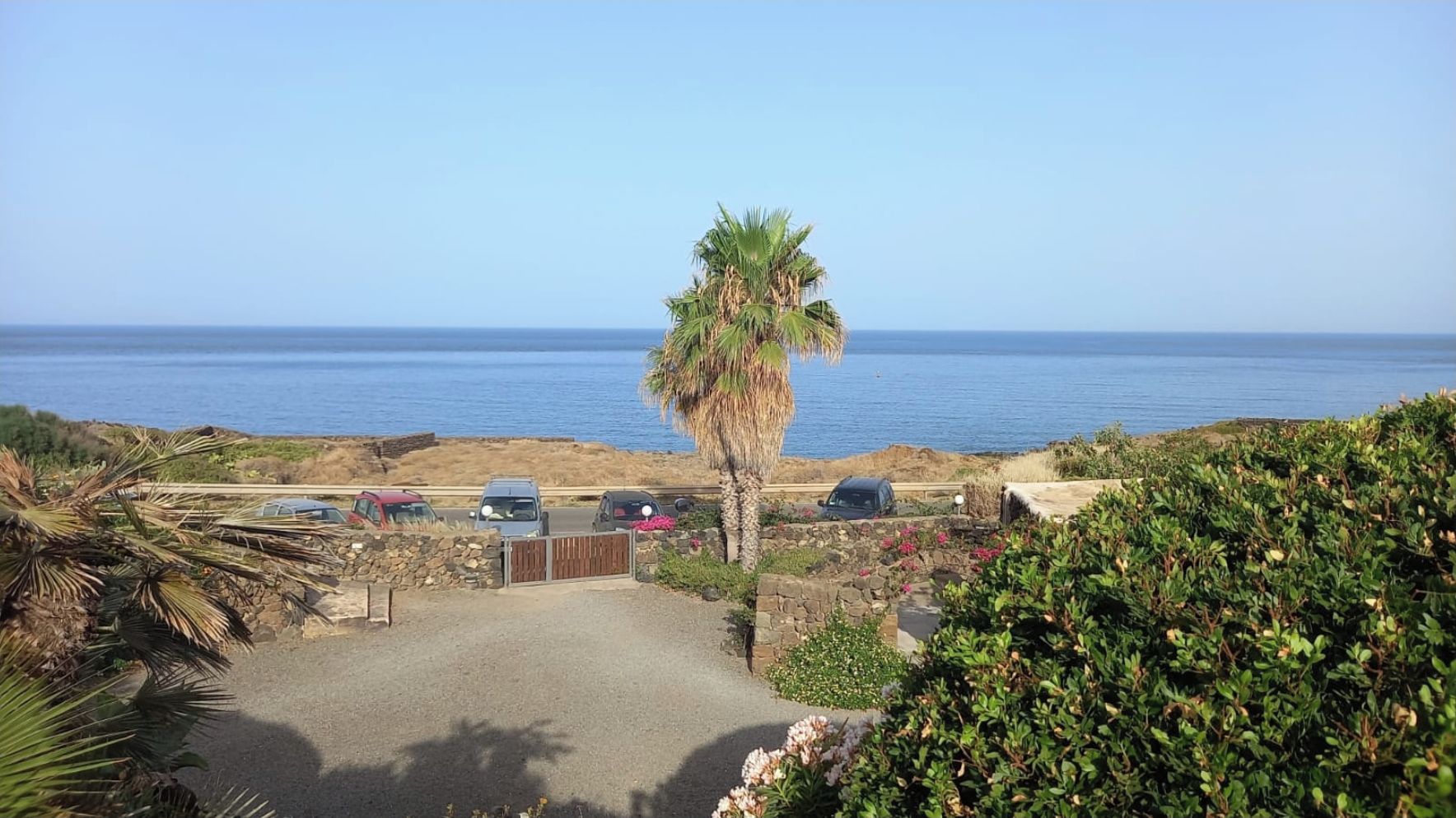A coastal view with a parking area, a palm tree, and a clear sky.